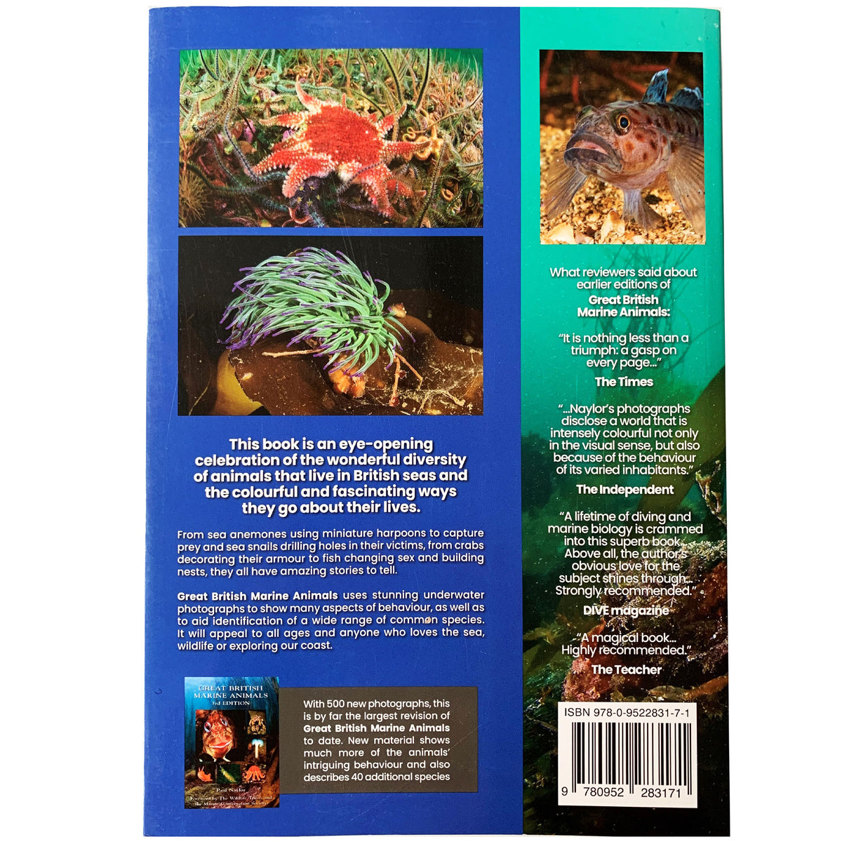 Great British Marine Animals by Paul Naylor 4th Edition | Rear Cover