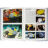 Reef Fishes of The Maldives Inside | Scuba Diving Guide Book