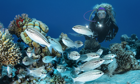 A Guide to Scuba Diving Equipment and Essentials
