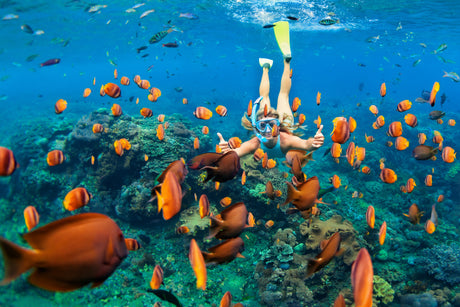 Choosing a Diving or Snorkelling Mask