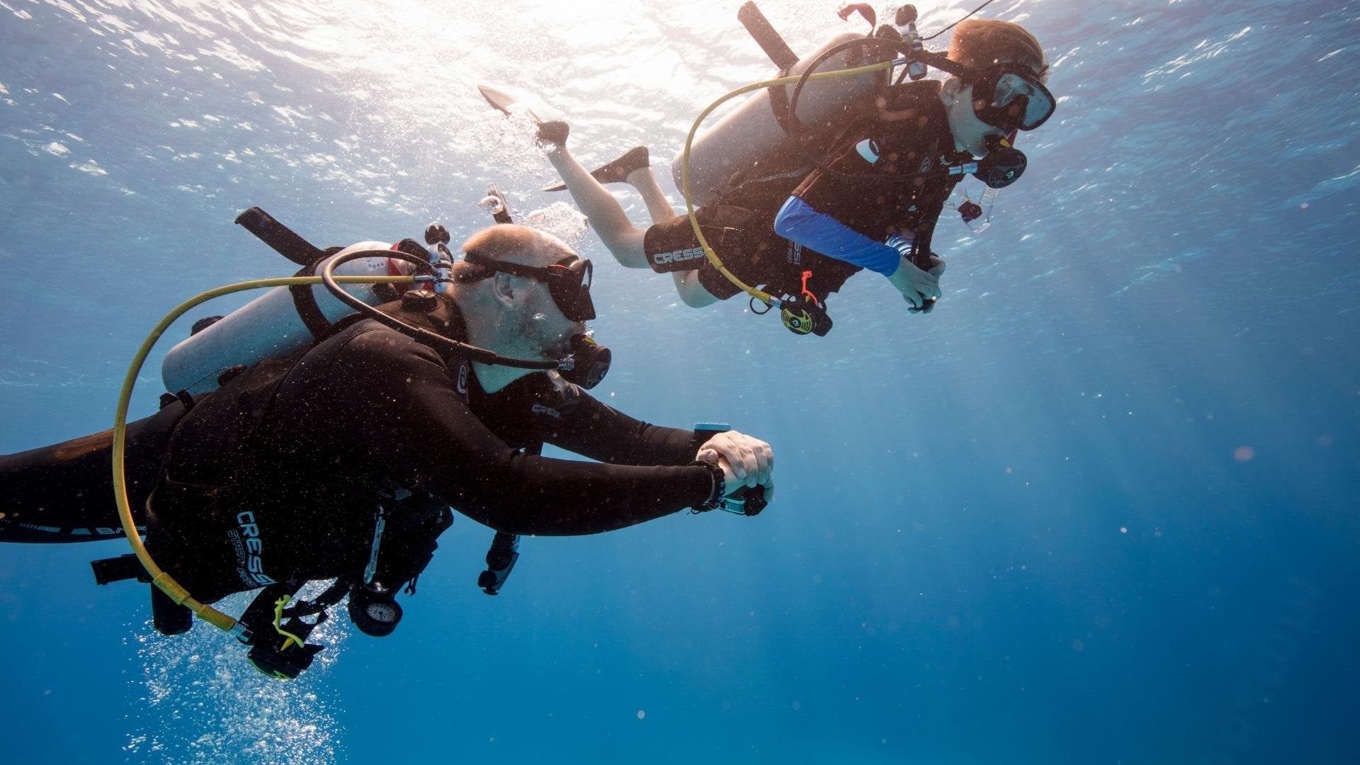 A Guide to the Key Scuba Diver Training Organisations in the UK