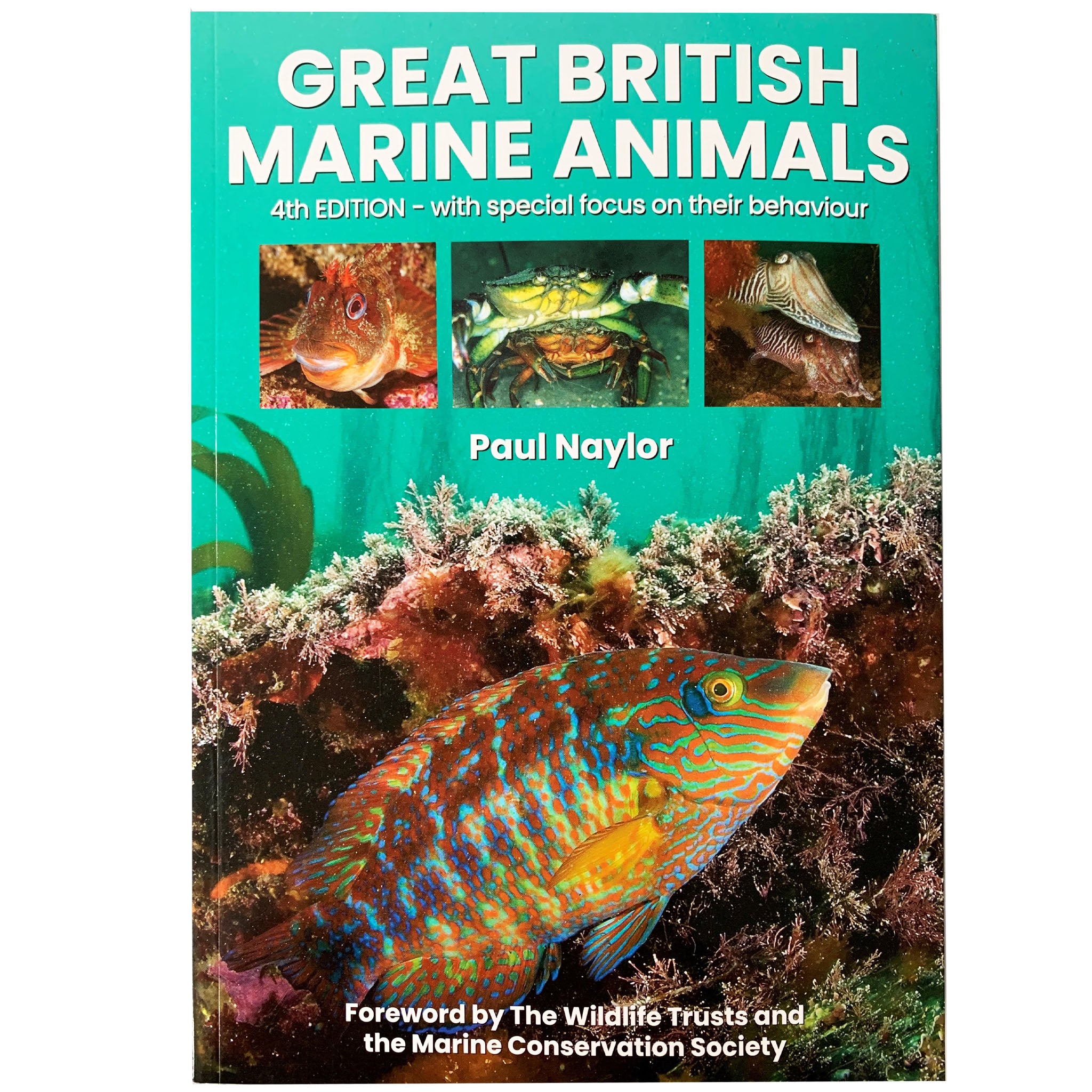 Great British Marine Animals by Paul Naylor 4th Edition