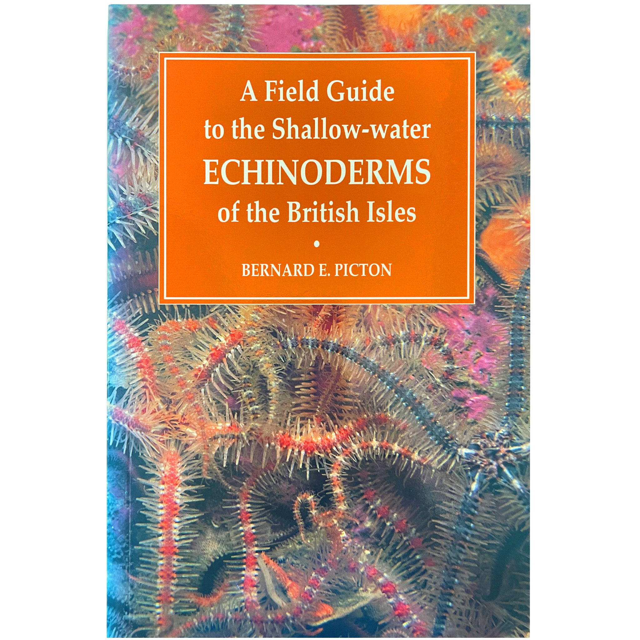 A Field Guide to the Shallow-water Echinoderms of the British Isles
