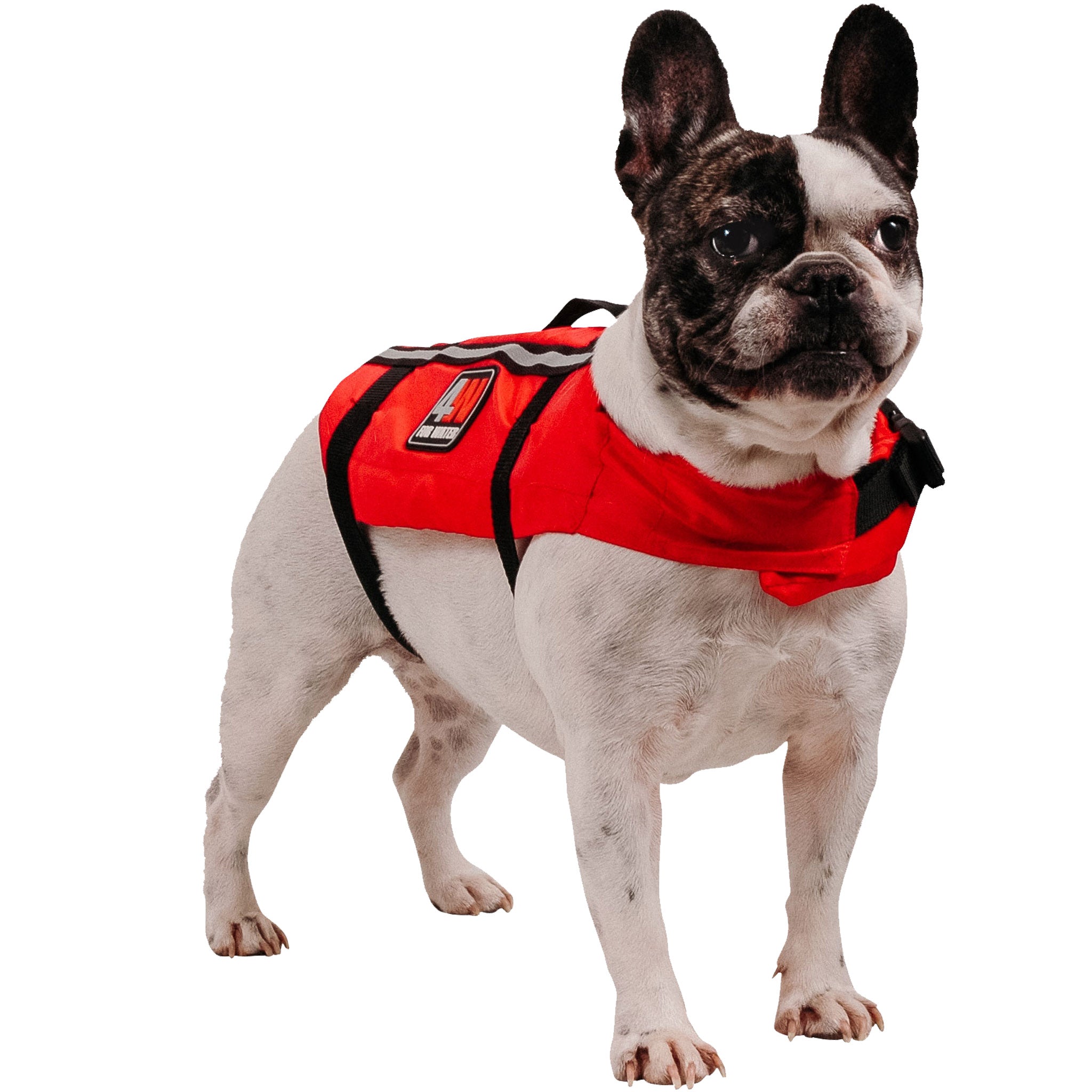 Ocean Safety Dog Buoyancy Aid