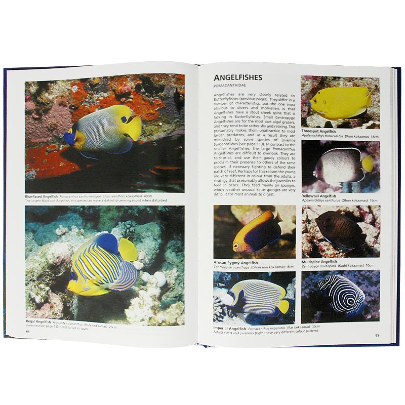 Reef Fishes of The Maldives Inside | Scuba Diving Guide Book