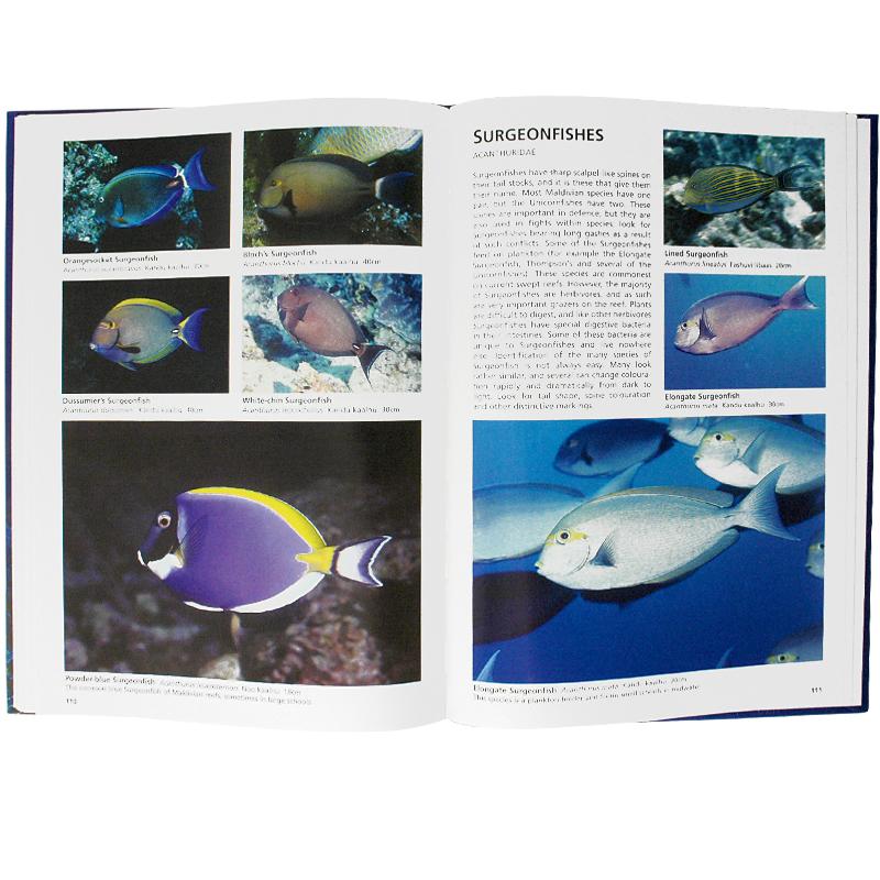 Reef Fishes of The Maldives Inside 2 | Scuba Diving Guide Book