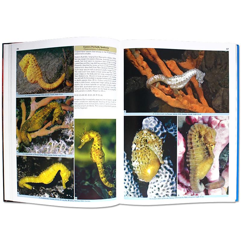 Seahorses and their Relatives Guide Book | Inside