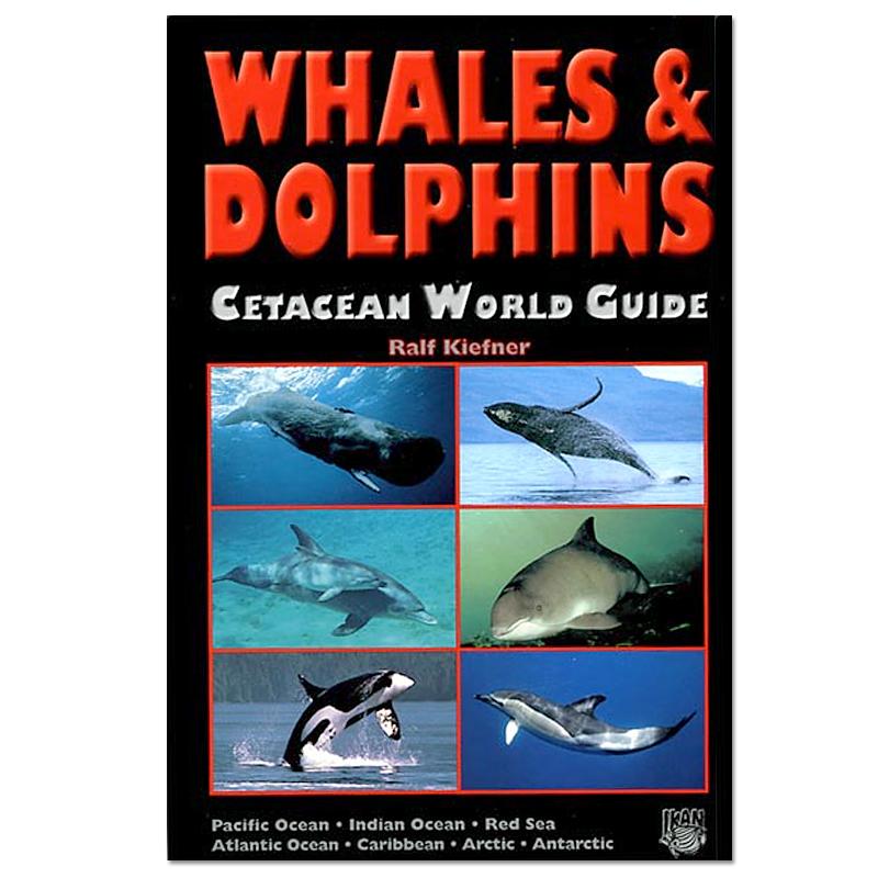 Whales and Dolphins Cetacean World Guide Book